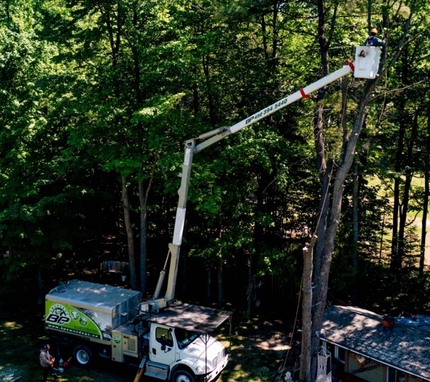 Émondeur qui travail dans un camion nacelle