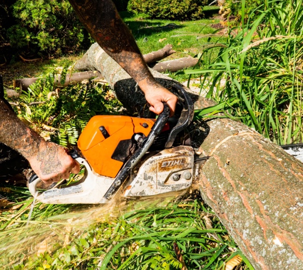 Émondeur qui coupe un arbre
