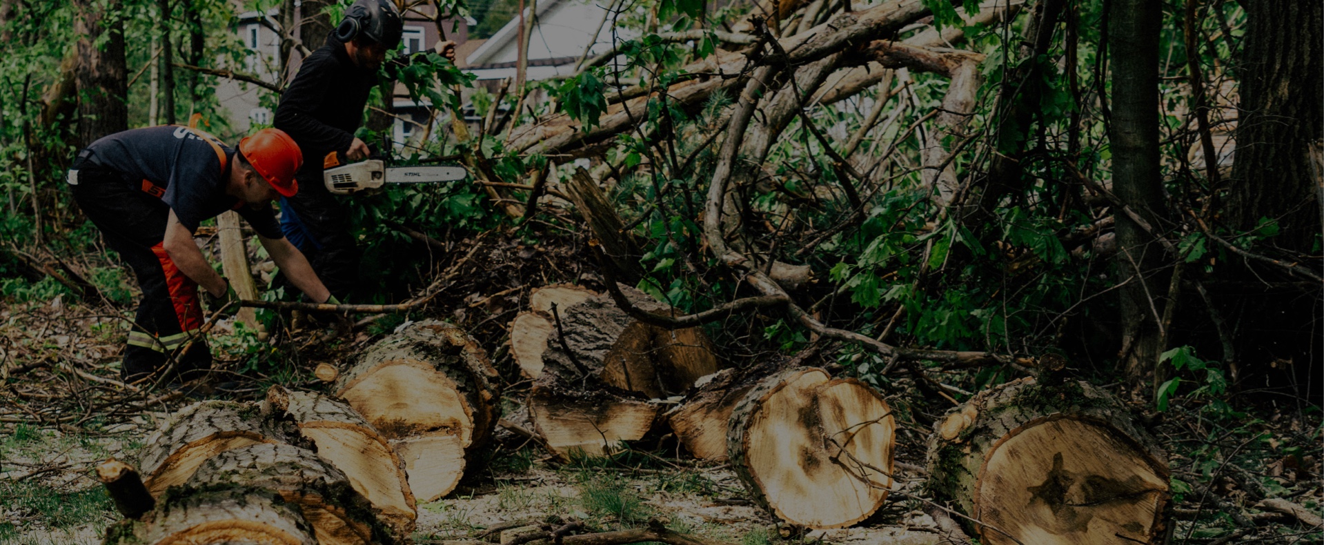 Émondeur expérimentés au travail