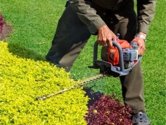Employé faisant du taillage de haie