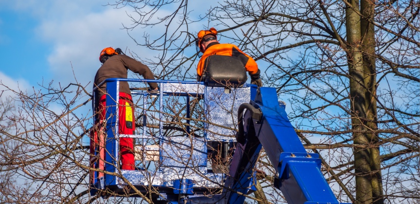 Employé effectuant un travail d'émondage dans une nacelle à Repentigny
