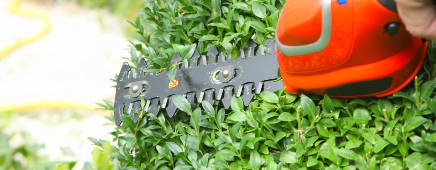 service d'arboriculture